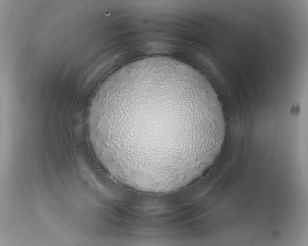 X0000113090549200909182116