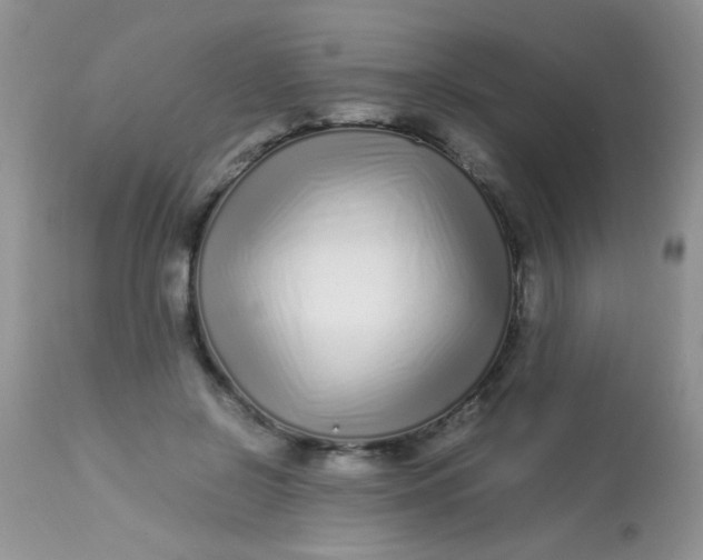 X0000113090550200909182116