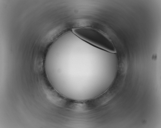 X0000113090552200909182116