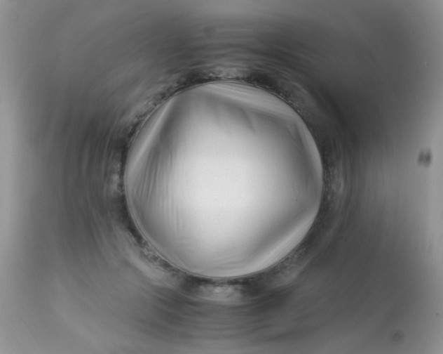 X0000113090553200909182116