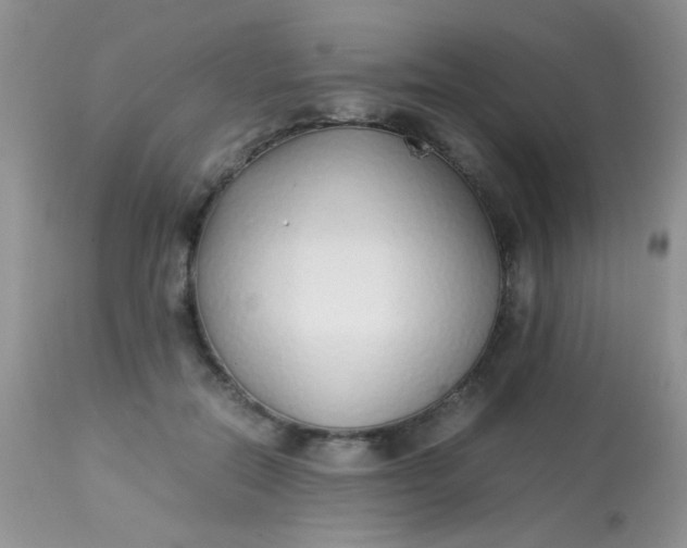 X0000113090554200909182116