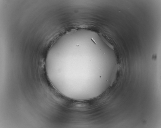 X0000113090555200909182116