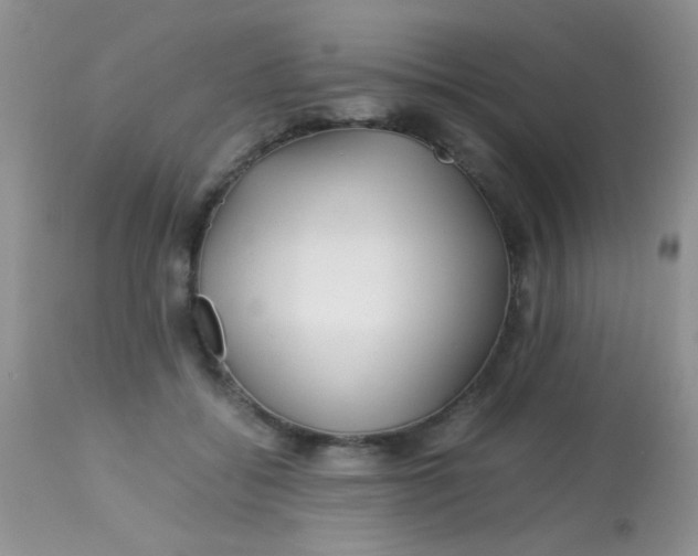 X0000113090556200909182116