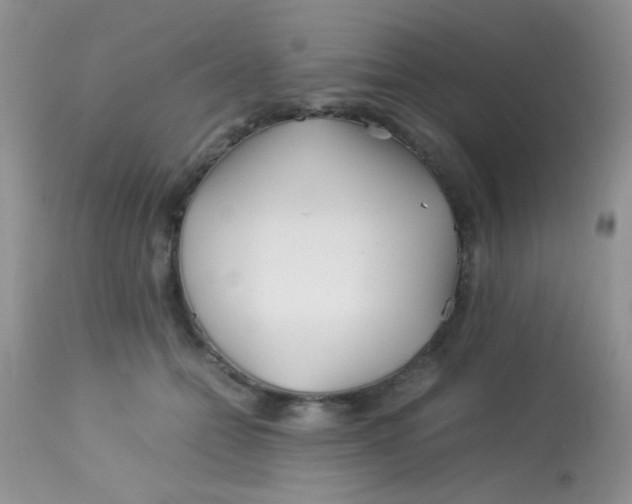 X0000113090558200909182116