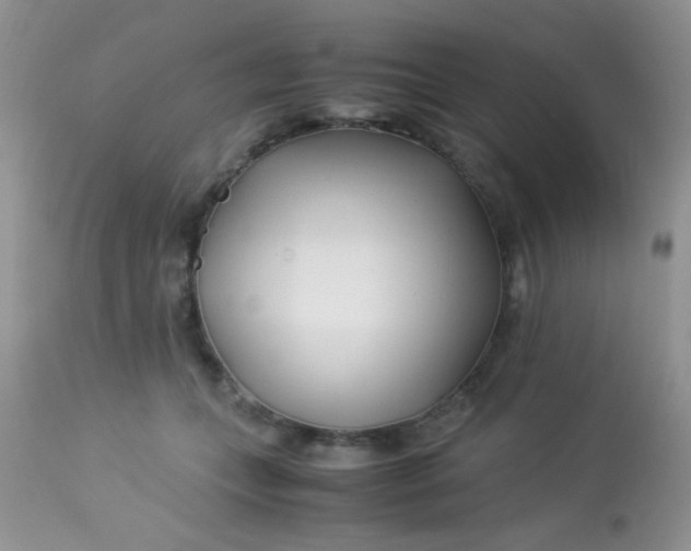 X0000113090559200909182117