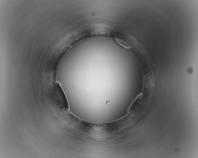 X0000113090560200909182117