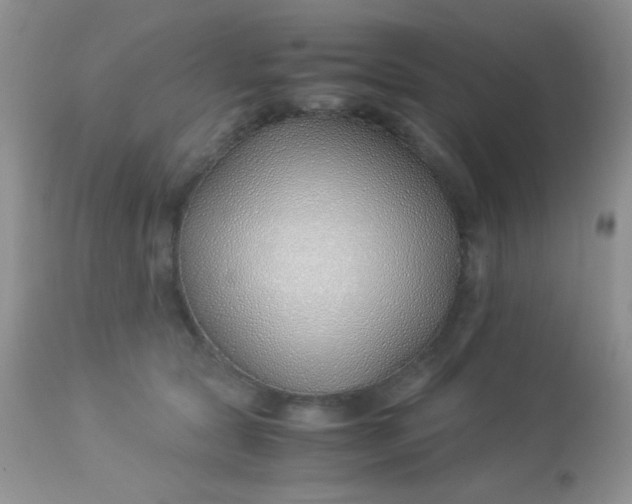 X0000113090561200909182117