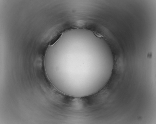 X0000113090562200909182117