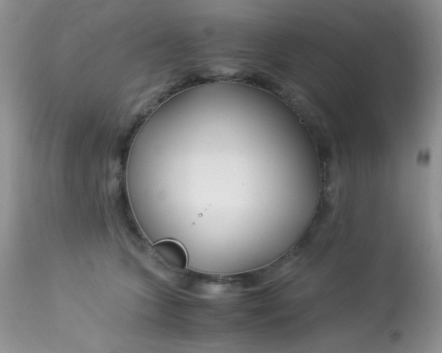 X0000113090563200909182117