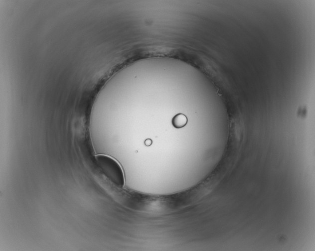 X0000113090564200909182117