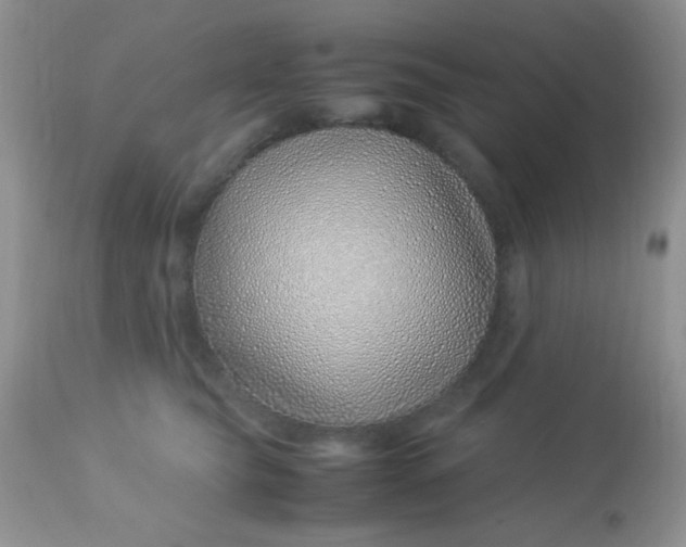 X0000113090565200909182117