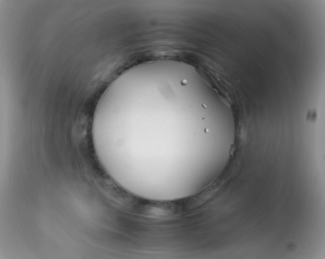 X0000113090567200909182117