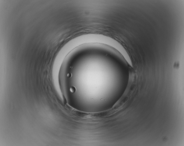 X0000113090568200909182117