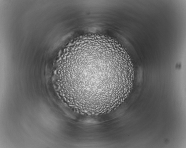 X0000113090569200909182117