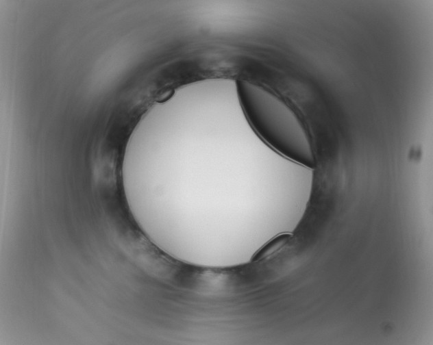 X0000113090570200909182117