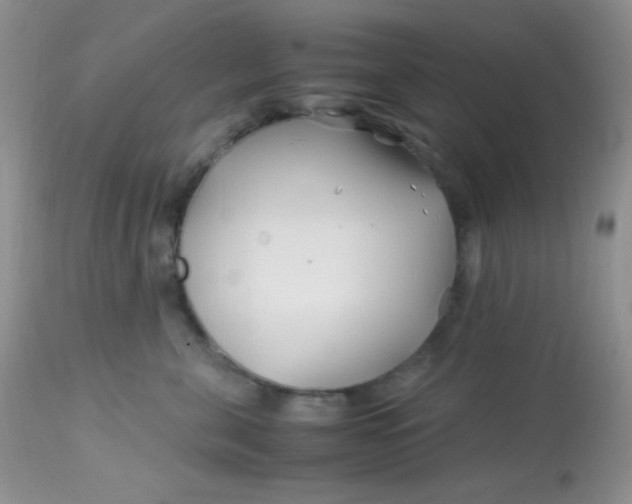 X0000113090571200909182117