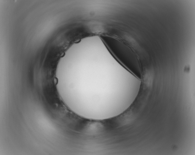 X0000113090572200909182117