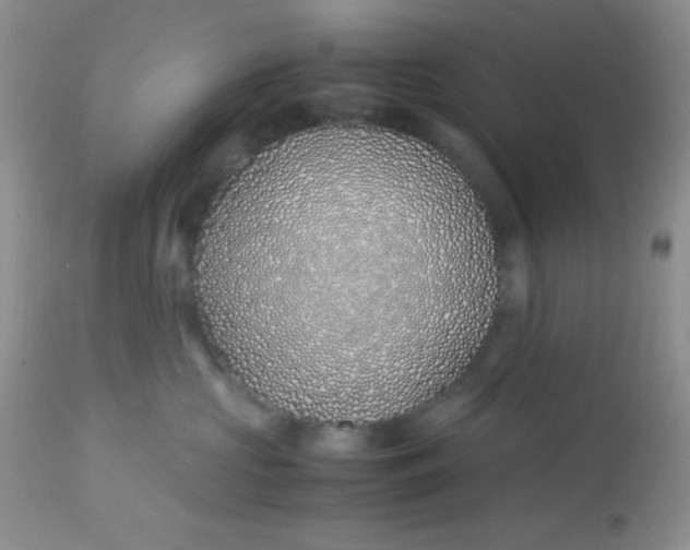 X0000113090573200909182117