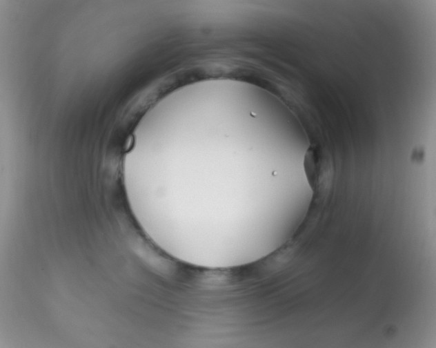 X0000113090574200909182117