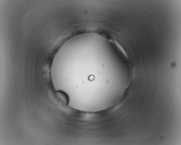 X0000113090575200909182117