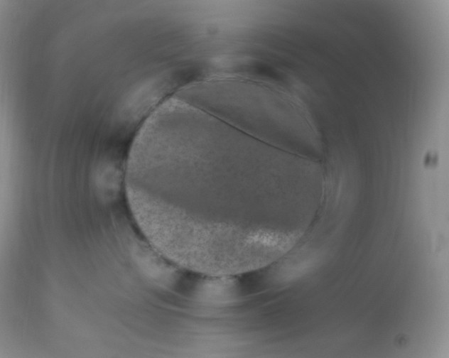 X0000113090576200909182117