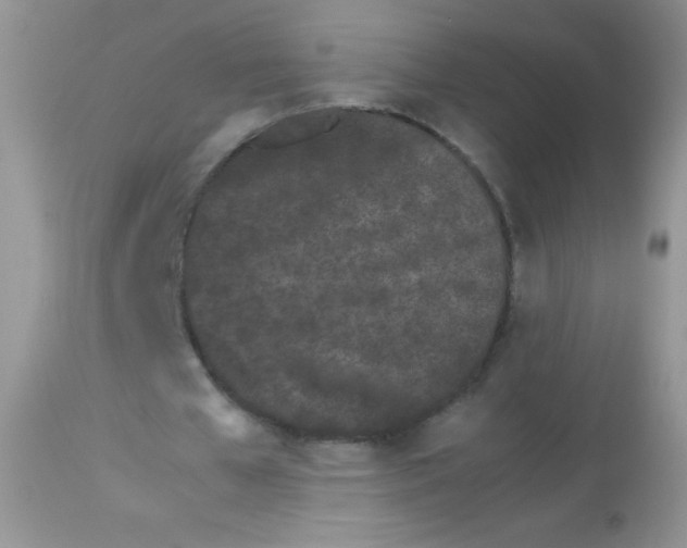 X0000113090577200909182116