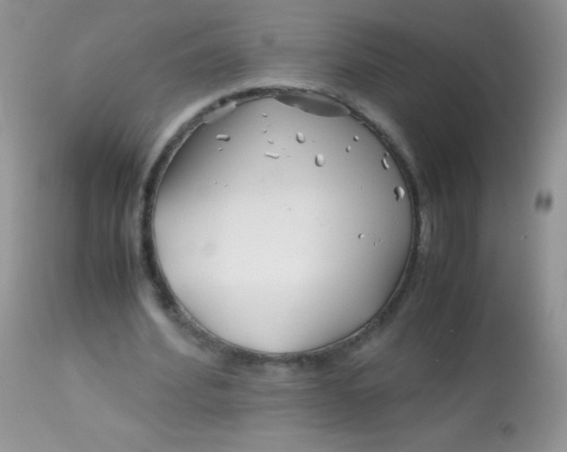 X0000113090580200909182116