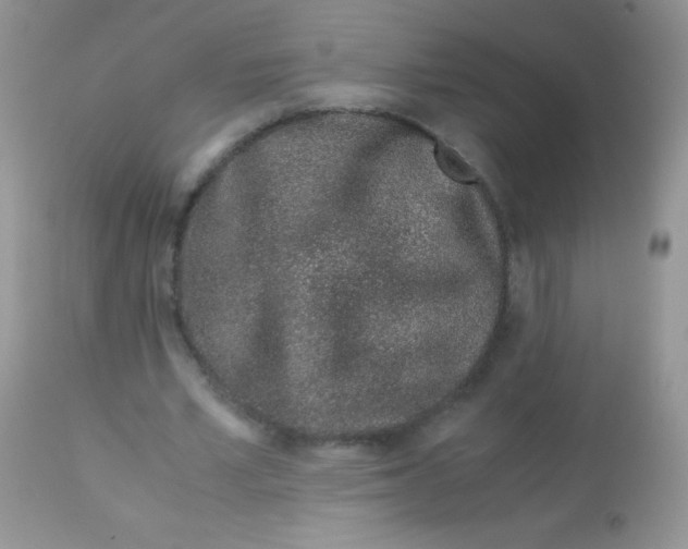 X0000113090581200909182116