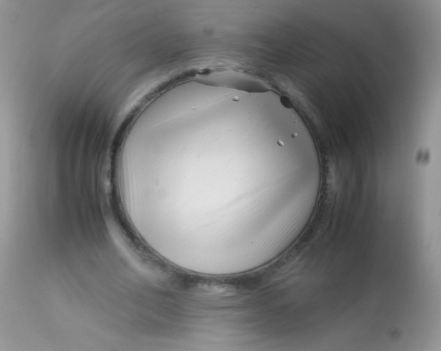 X0000113090582200909182116