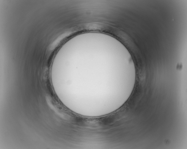 X0000113090583200909182116