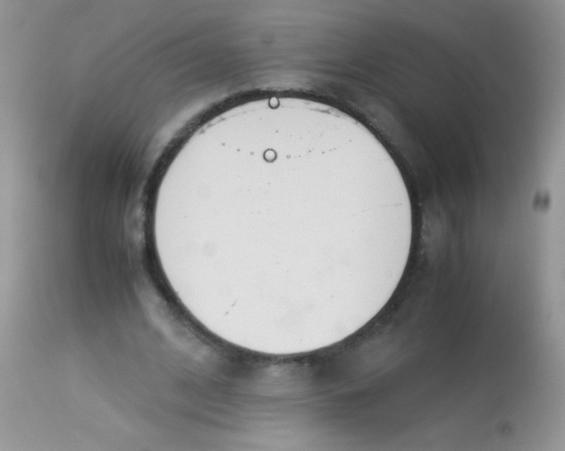 X0000113090584200909182116