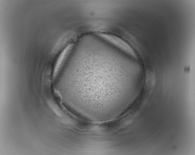 X0000113090585200909182116