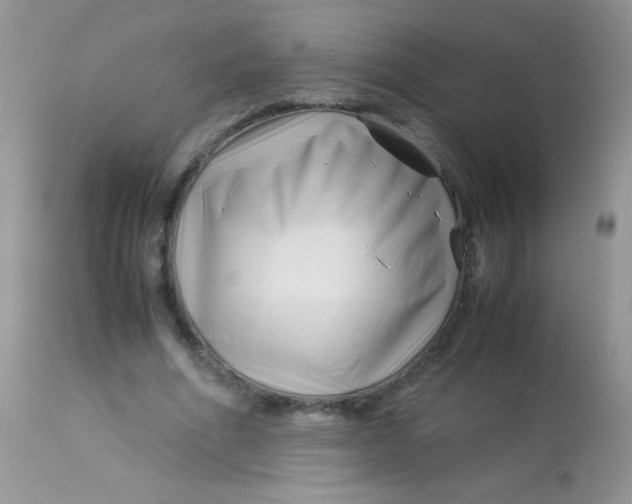 X0000113090586200909182116