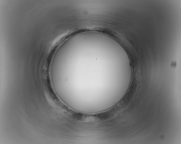 X0000113090587200909182116