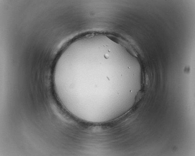 X0000113090588200909182116