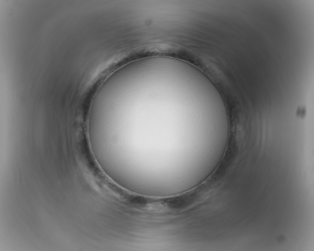 X0000113090591200909182116