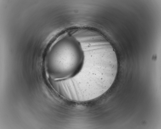 X0000113090592200909182116