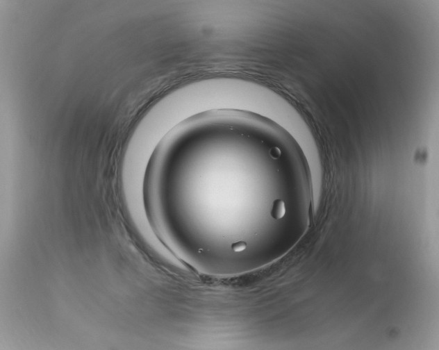 X0000113090593200909182116