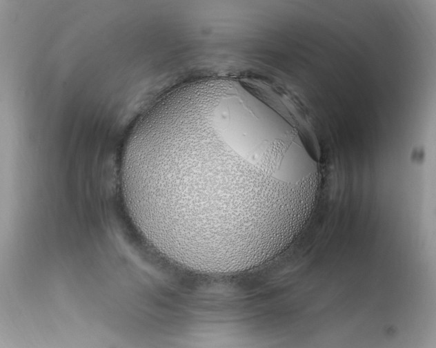 X0000113090594200909182116