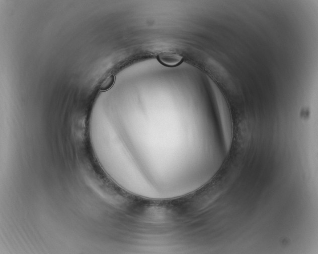 X0000113090596200909182116