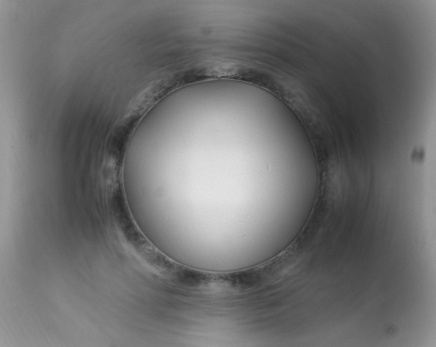 X0000113090598200909182116