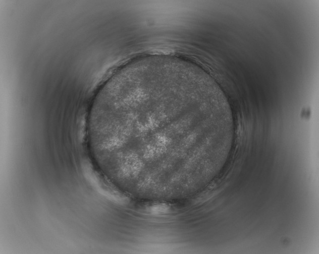 X0000113090600200909182116