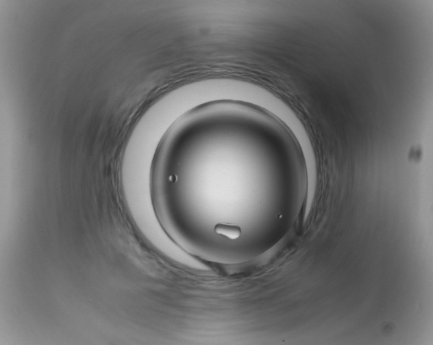 X0000113090601200909182116