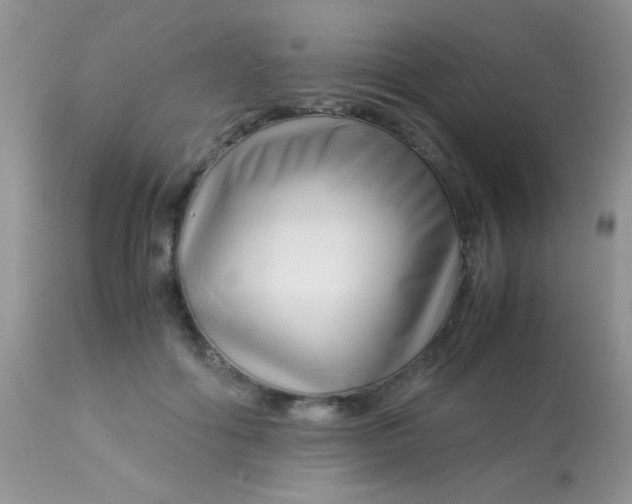 X0000113090602200909182116