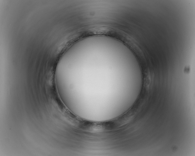 X0000113090604200909182116