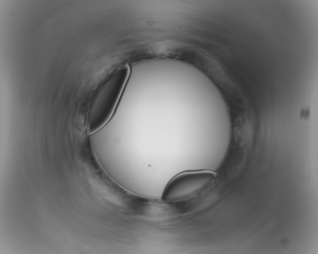 X0000113090605200909182116