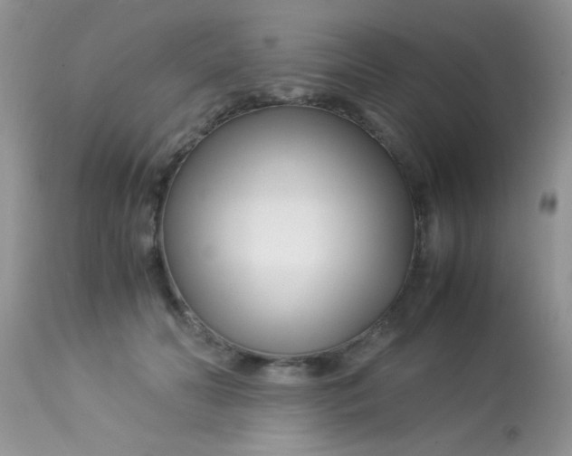 X0000113090606200909182116