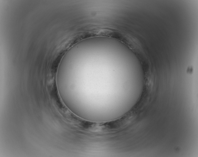 X0000113090607200909182115