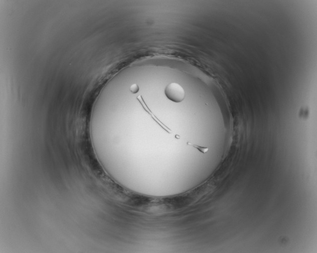 X0000113090608200909182115