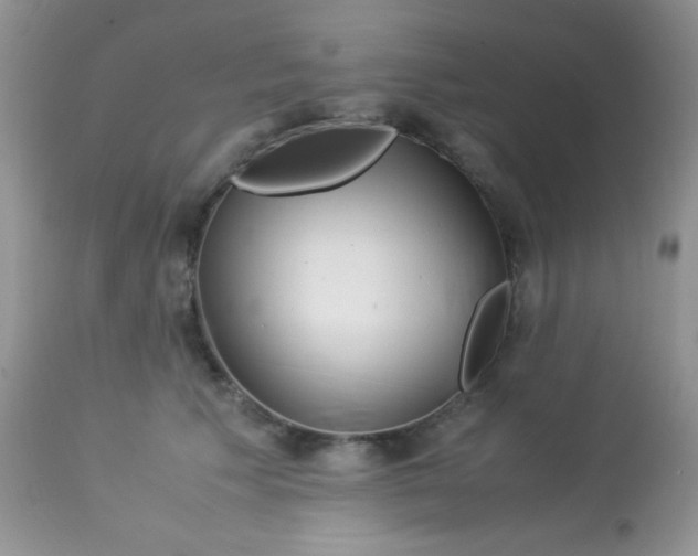 X0000113090609200909182115